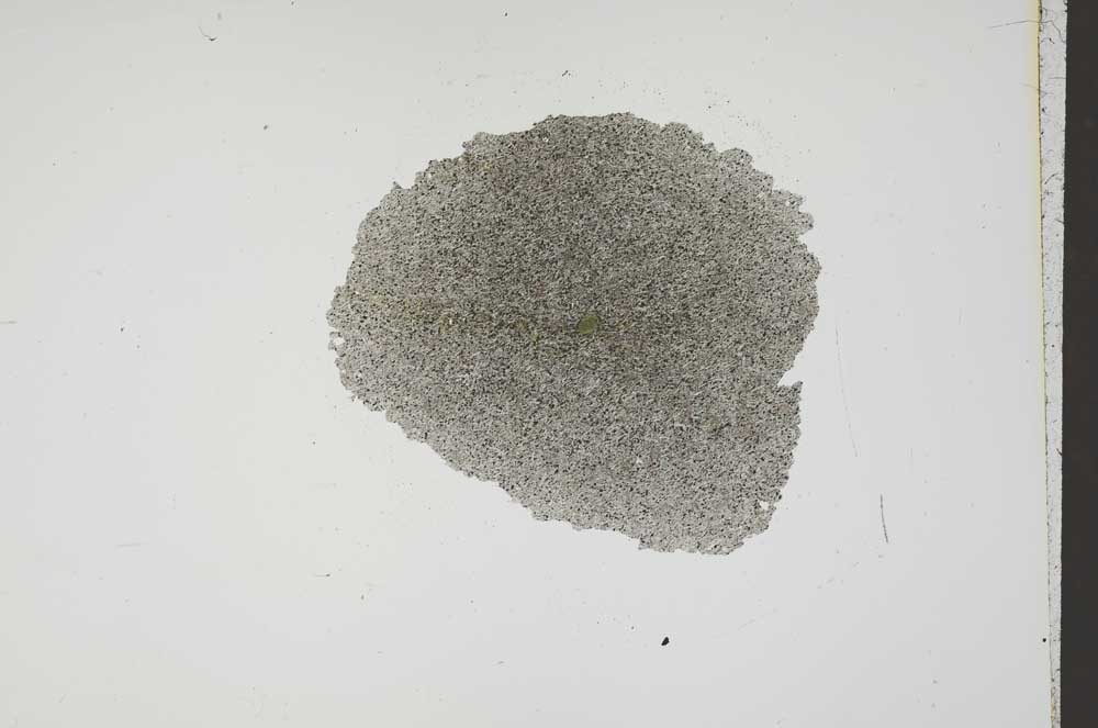 Plane Polarized, S17833