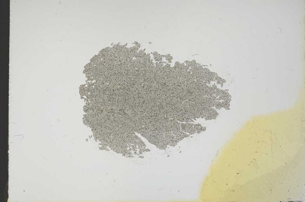 Plane Polarized, S17838
