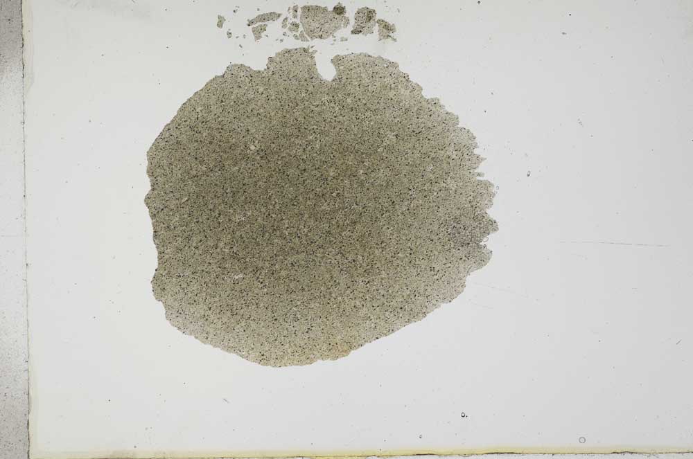 Plane Polarized, S17844