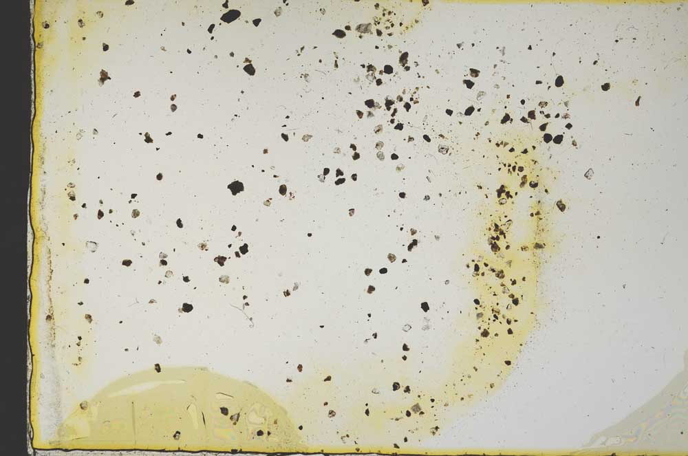 Plane Polarized, S17851