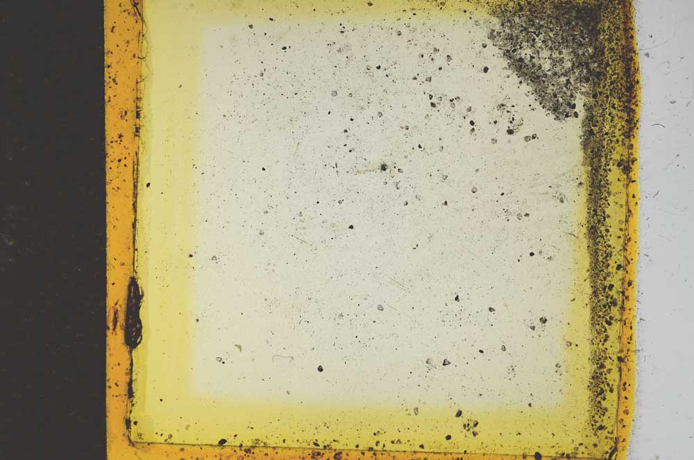 Plane Polarized, S17858
