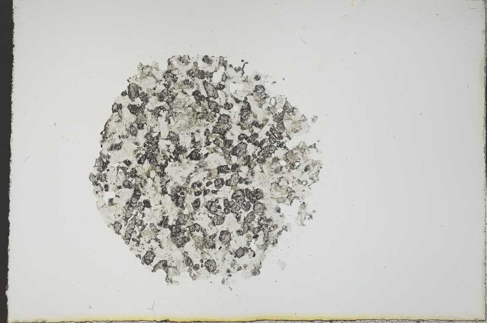 Plane Polarized, S17914