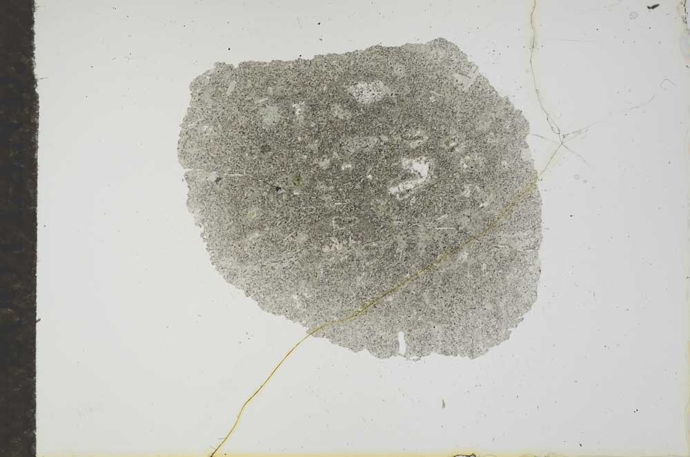 Plane Polarized, S17932