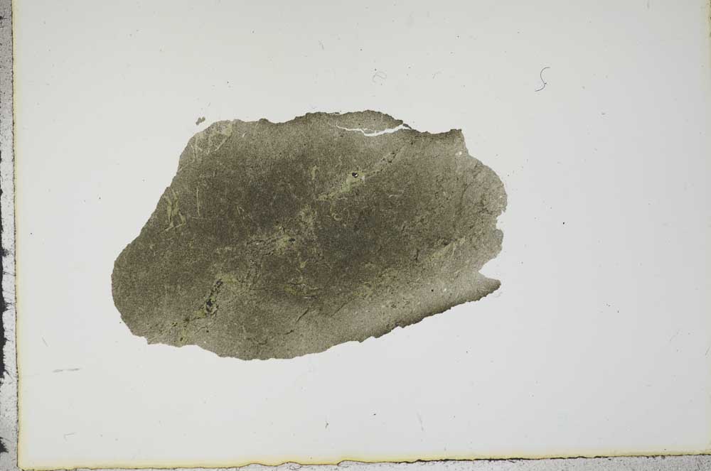 Plane Polarized, S17933