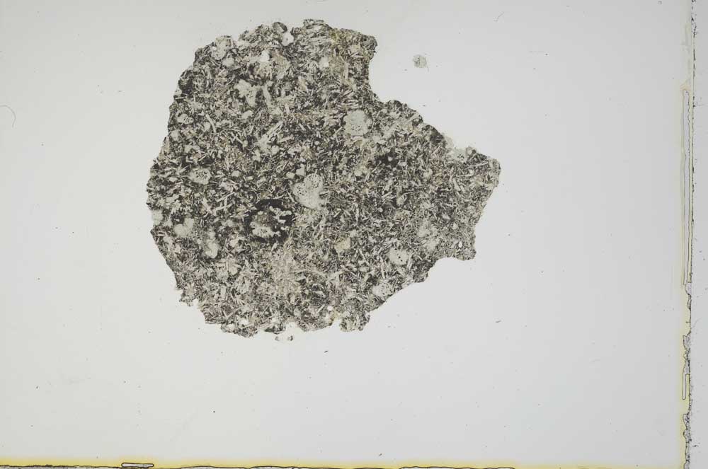 Plane Polarized, S17936