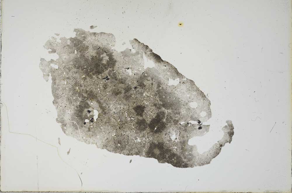 Plane Polarized, S17949