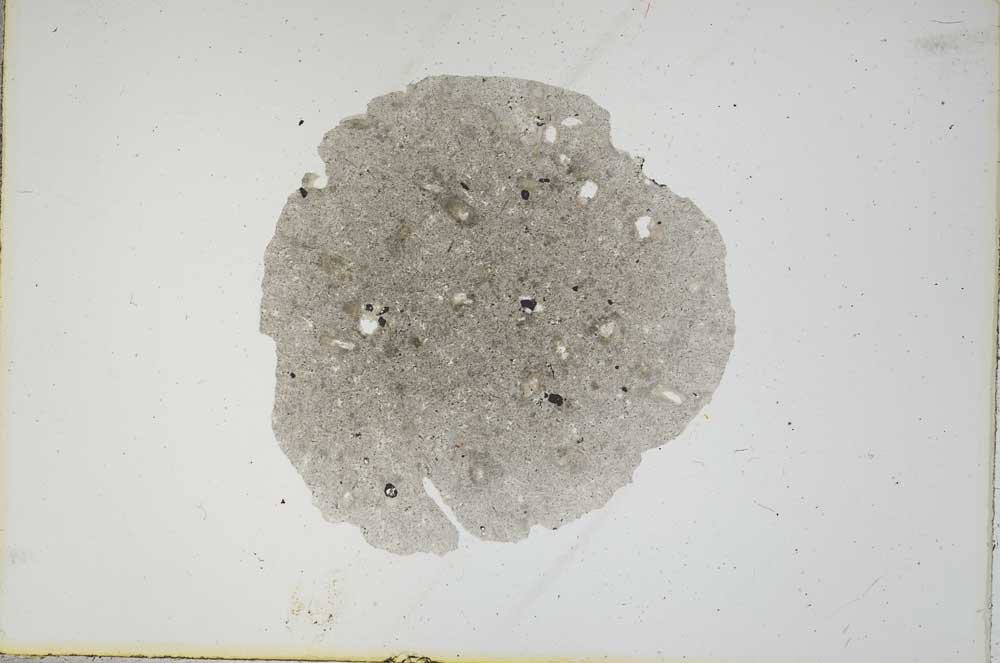 Plane Polarized, S17952