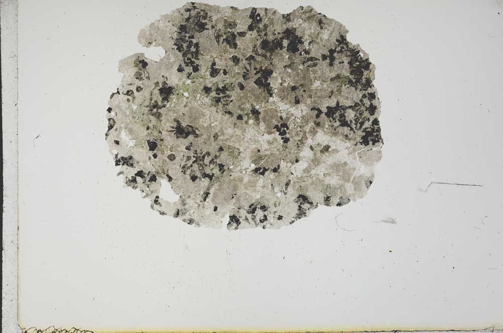 Plane Polarized, S17956