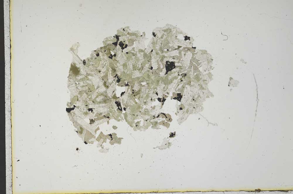 Plane Polarized, S17962