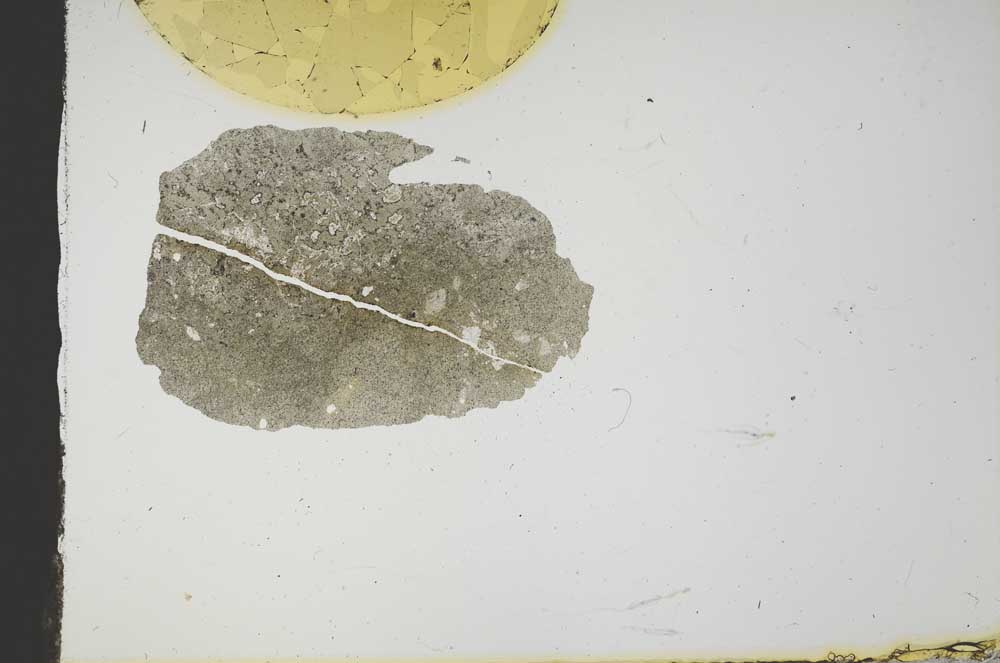 Plane Polarized, S17973