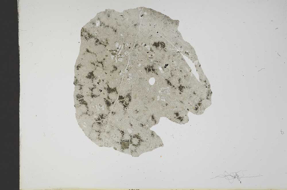 Plane Polarized, S17978