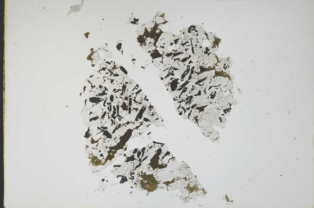 Plane Polarized, S18026
