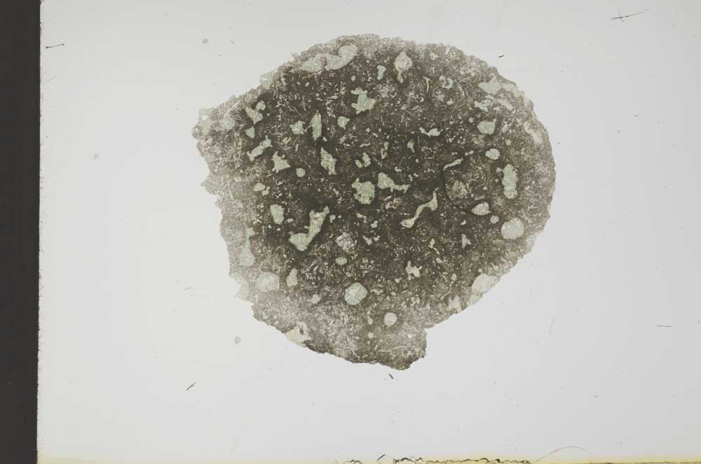 Plane Polarized, S18035