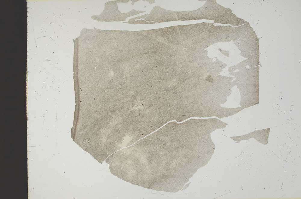 Plane Polarized, S18169