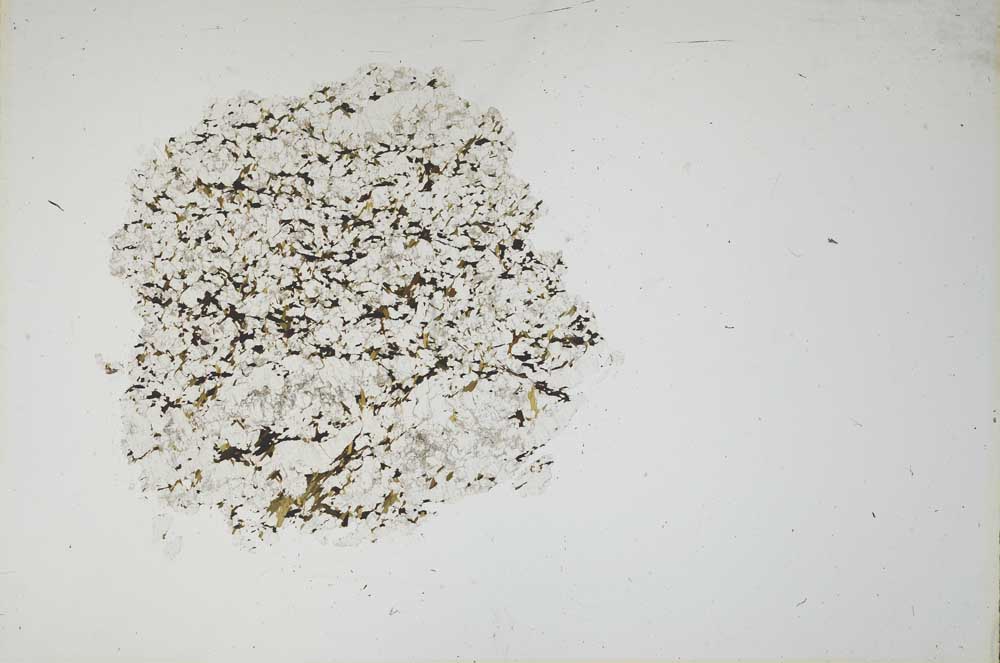 Plane Polarized, S18183