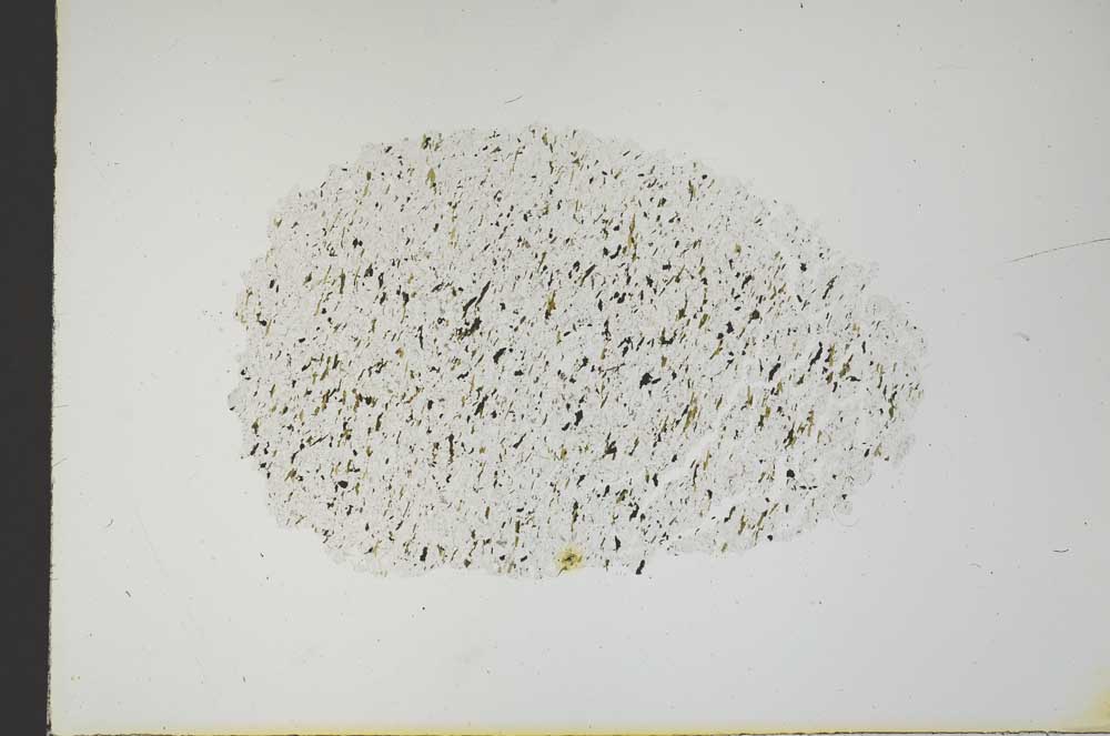 Plane Polarized, S18259
