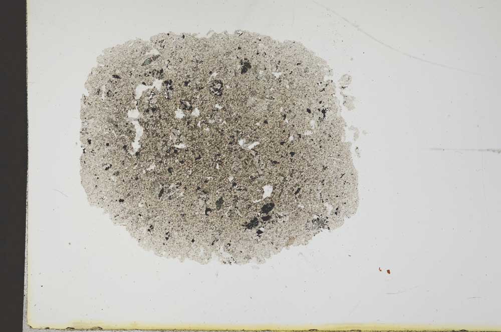 Plane Polarized, S18286