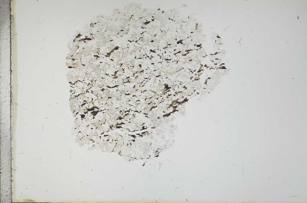 Plane Polarized, S18292