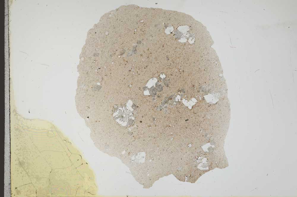 Plane Polarized, S18293