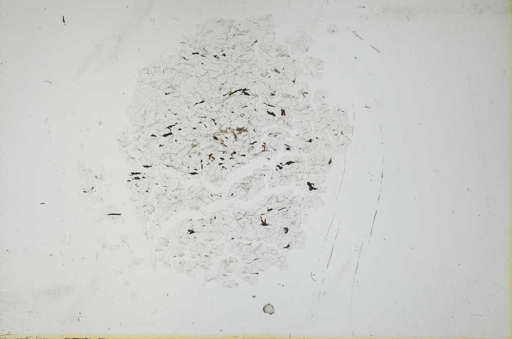 Plane Polarized, S18297