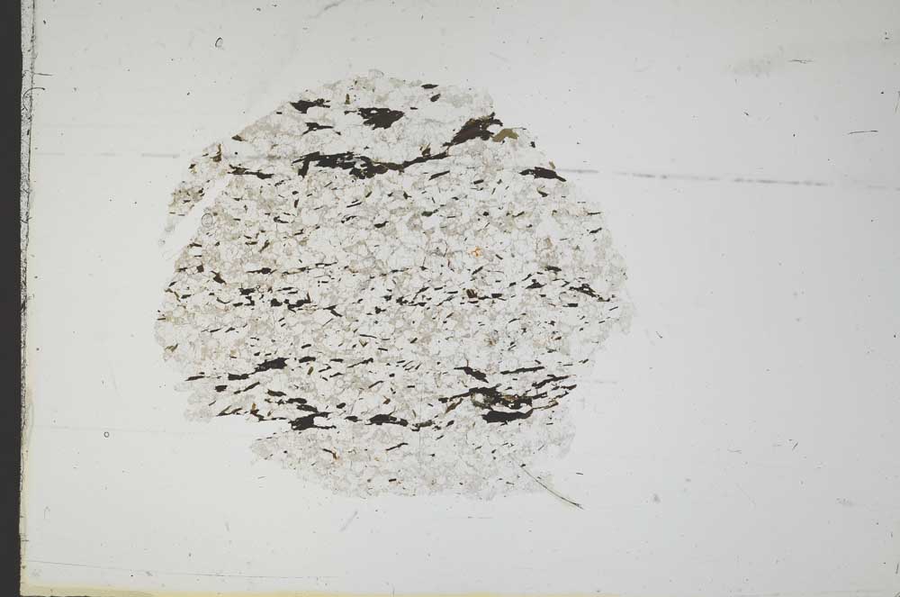 Plane Polarized, S18298