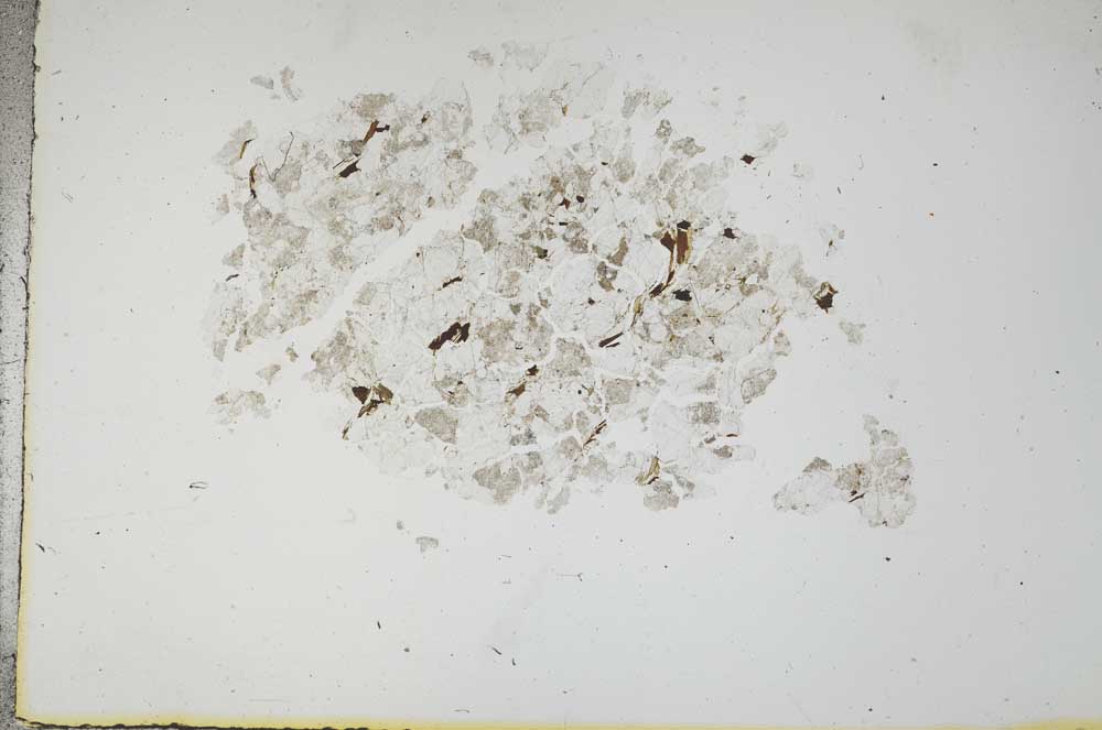 Plane Polarized, S18299