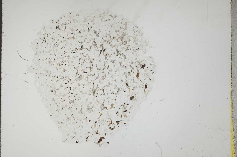 Plane Polarized, S18302