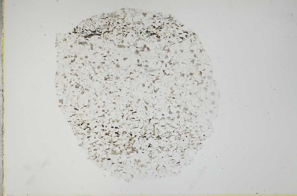 Plane Polarized, S18302/b