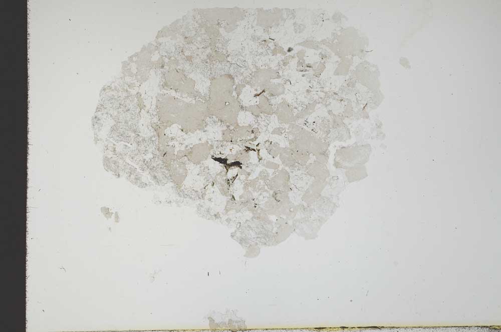 Plane Polarized, S18305