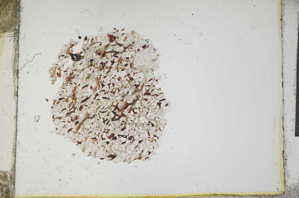 Plane Polarized, S18307