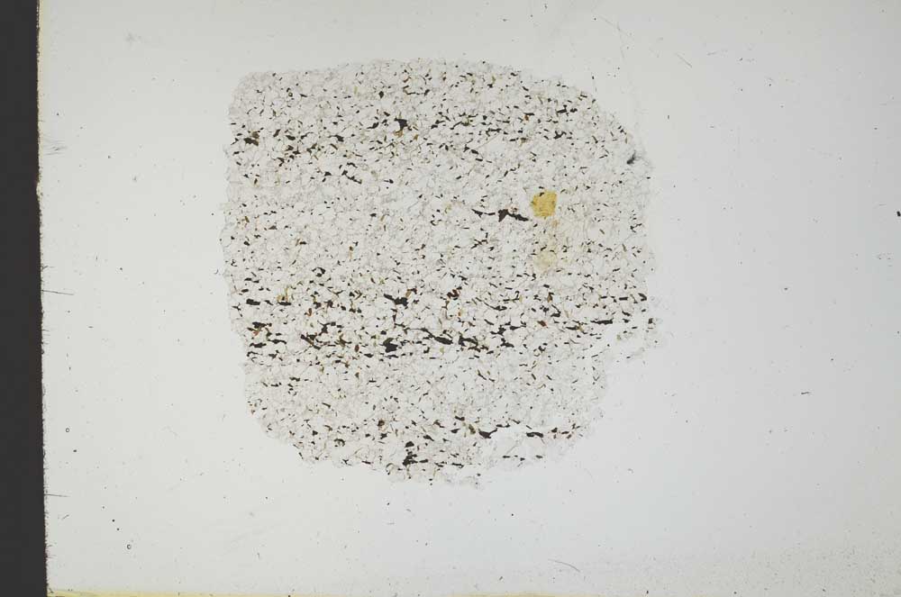 Plane Polarized, S18311