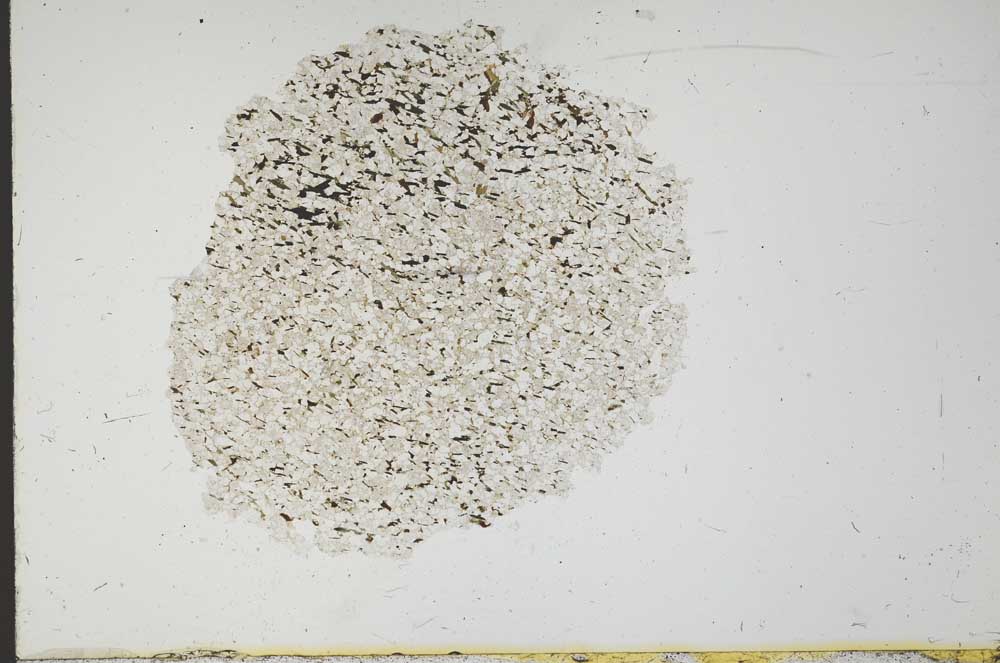 Plane Polarized, S18312