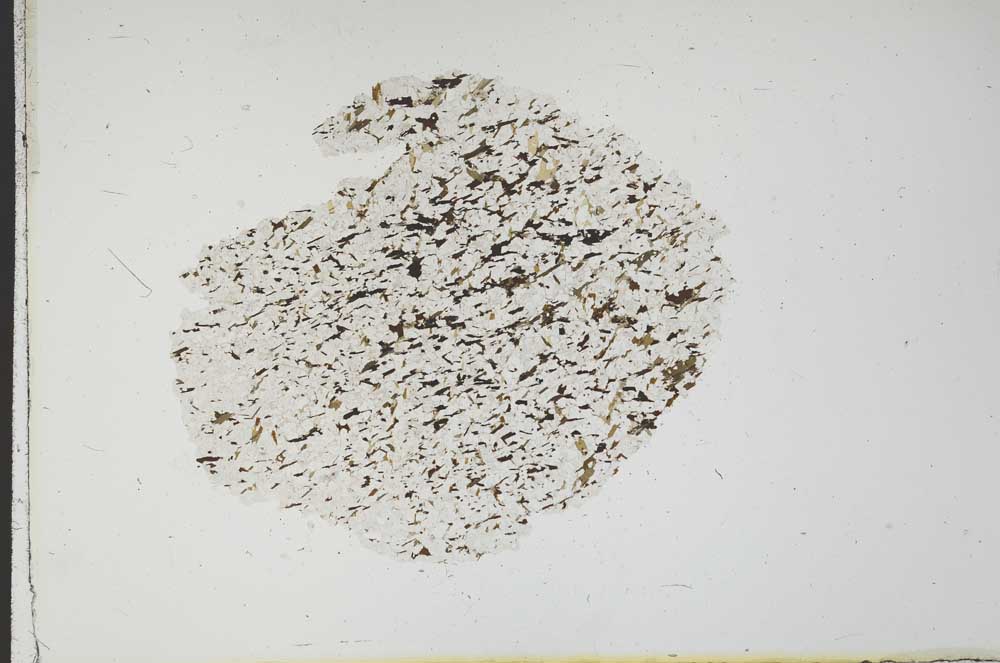 Plane Polarized, S18315