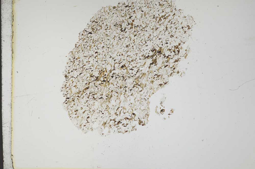 Plane Polarized, S18316