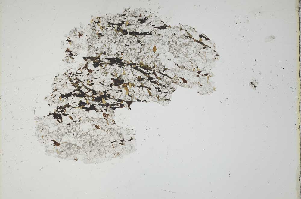 Plane Polarized, S18321