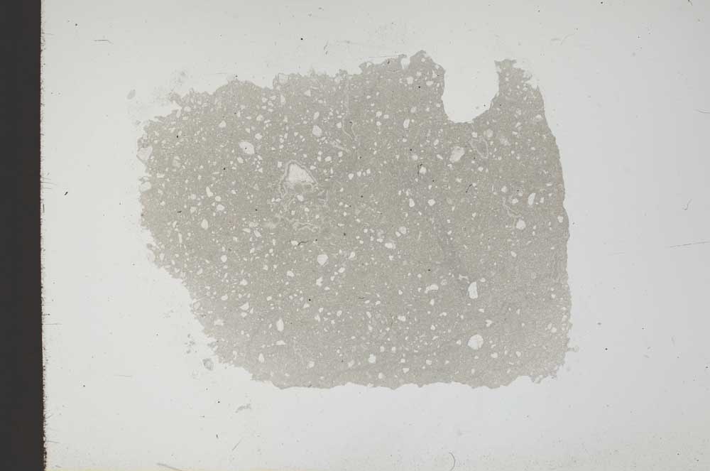 Plane Polarized, S18329