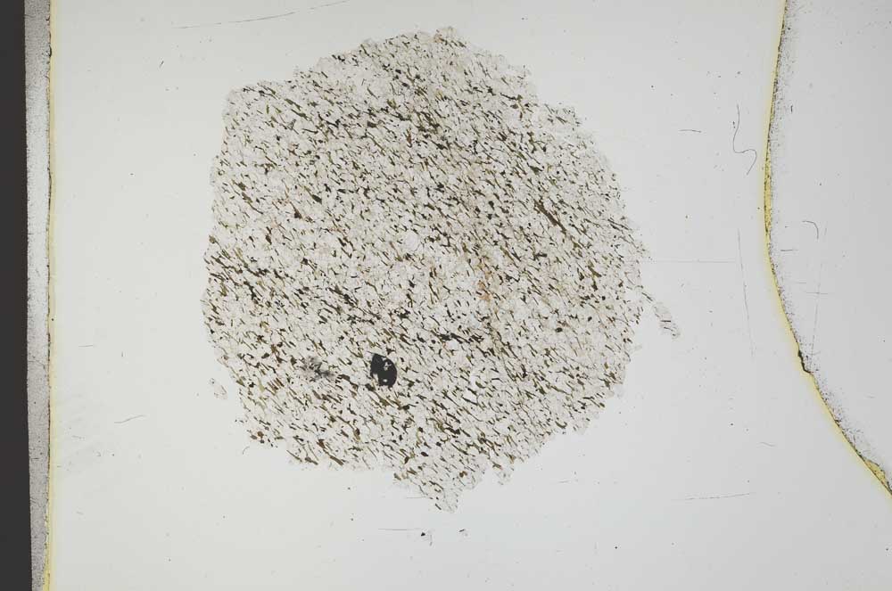 Plane Polarized, S18332