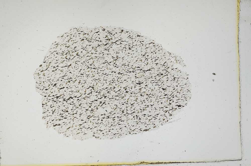 Plane Polarized, S18334