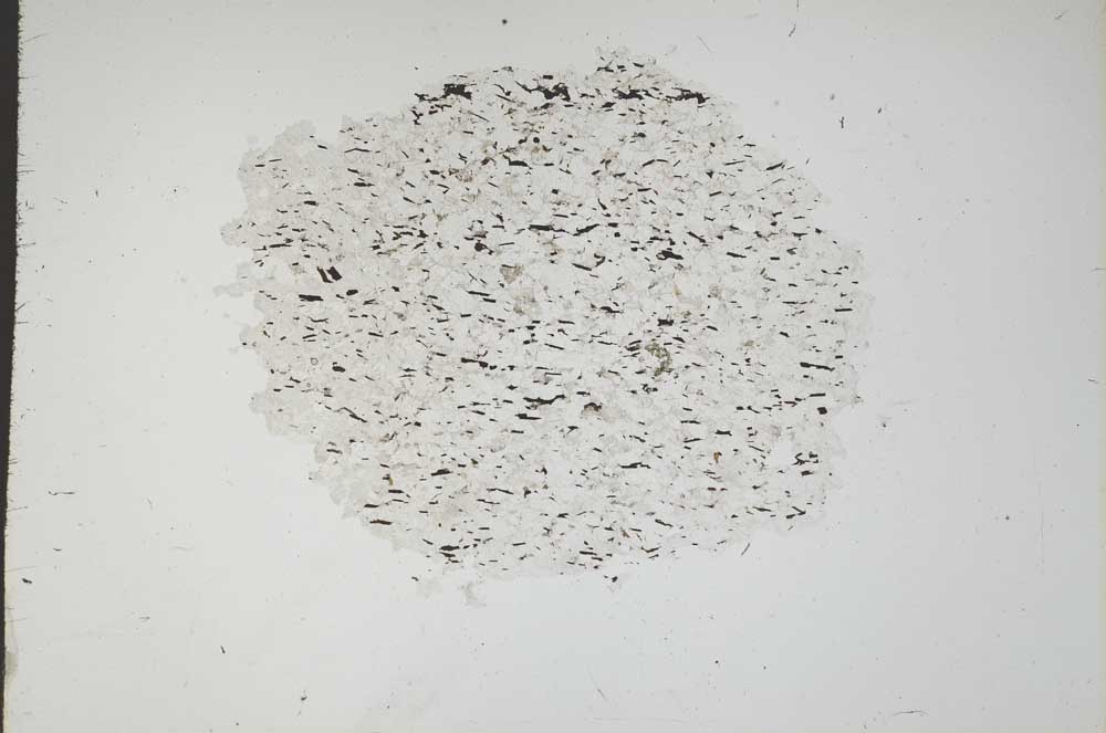 Plane Polarized, S18335