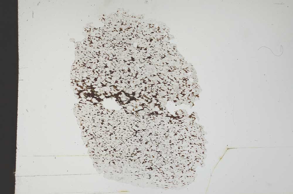 Plane Polarized, S18338