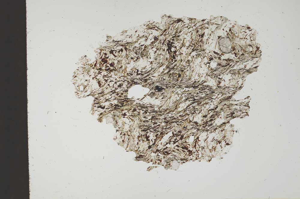 Plane Polarized, S18341