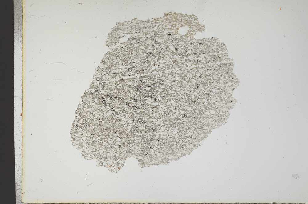 Plane Polarized, S18343