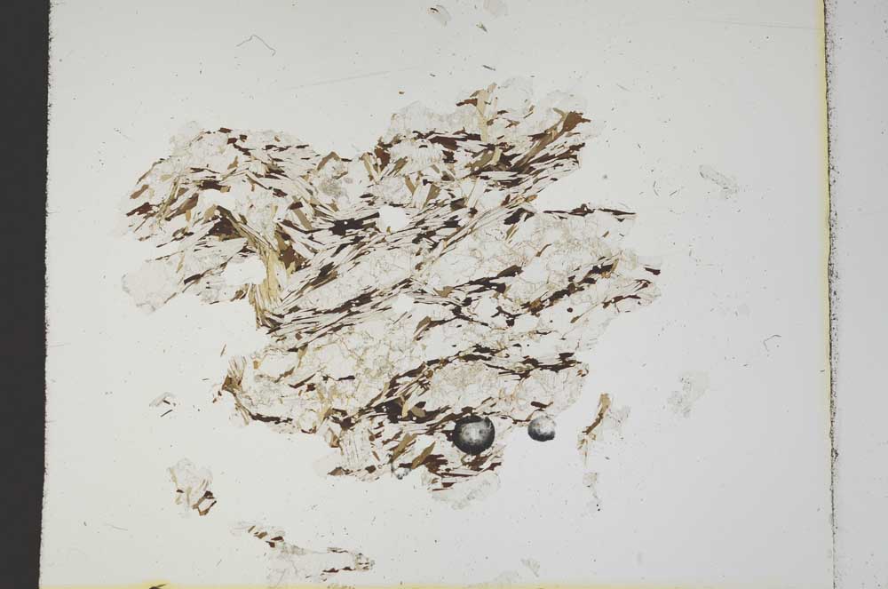 Plane Polarized, S18344