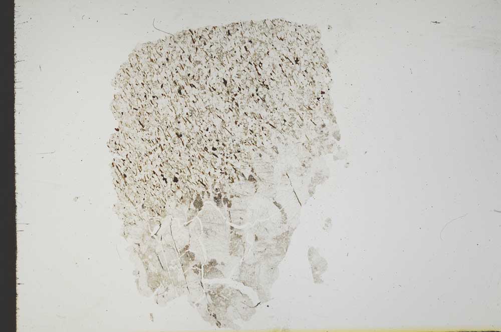 Plane Polarized, S18345