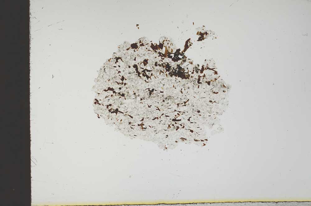 Plane Polarized, S18346/b