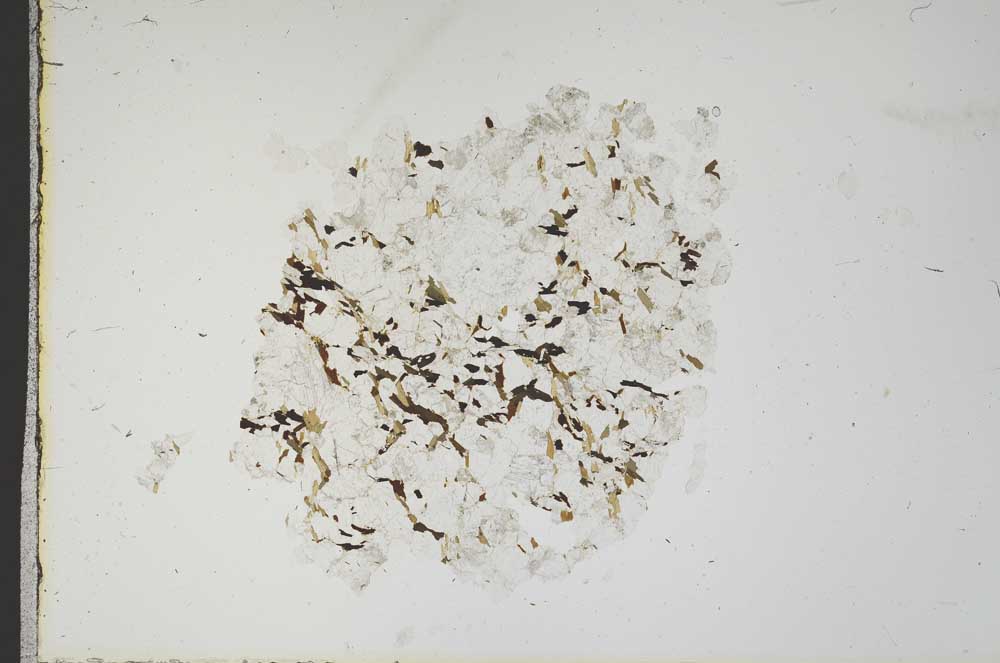 Plane Polarized, S18348