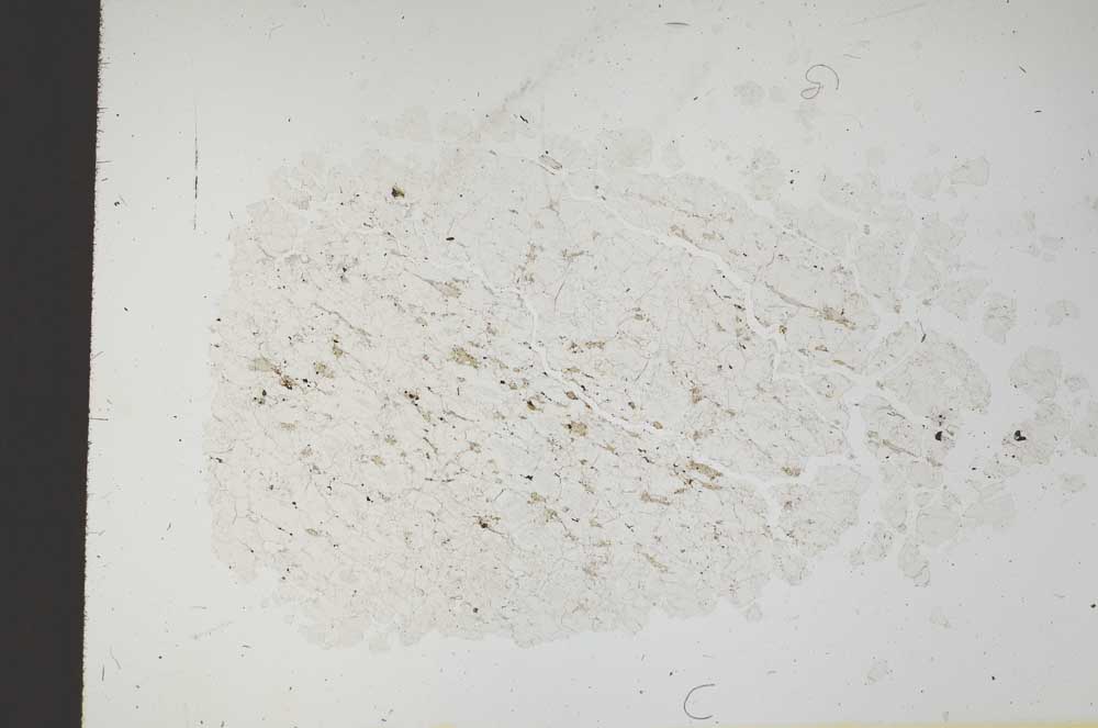 Plane Polarized, S18349