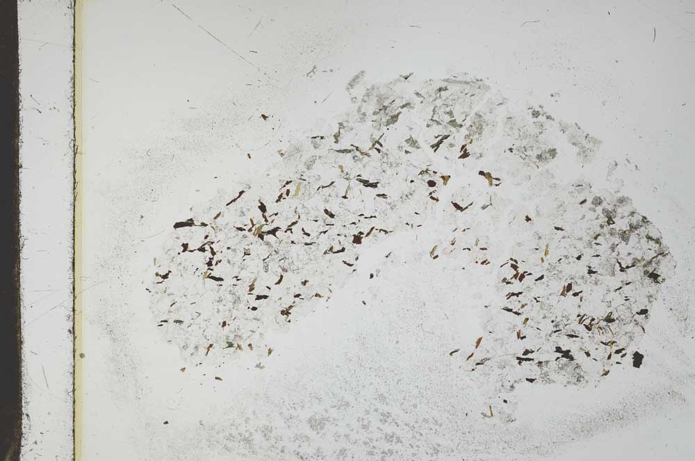 Plane Polarized, S18353