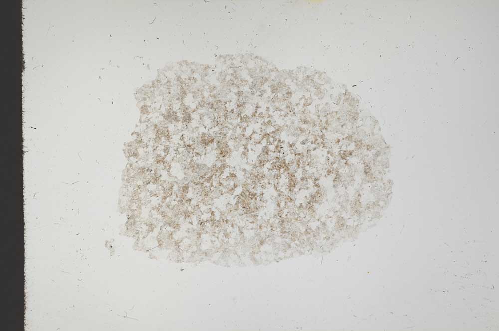 Plane Polarized, S18357