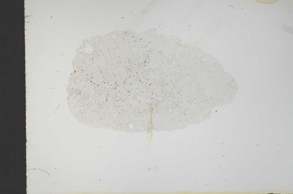 Plane Polarized, S18358